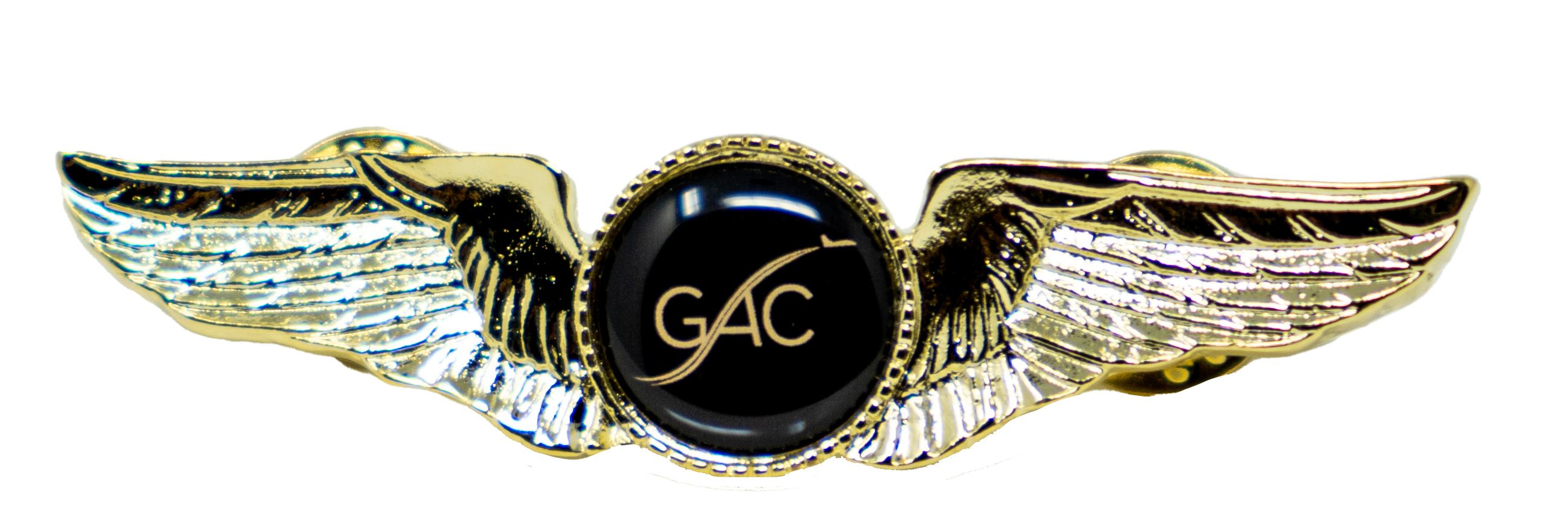 GAC Kids Wings Pins - Gold/Black