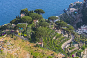 Vineyards among the hills along the Amalfi Coast, at Ravello, Italy.