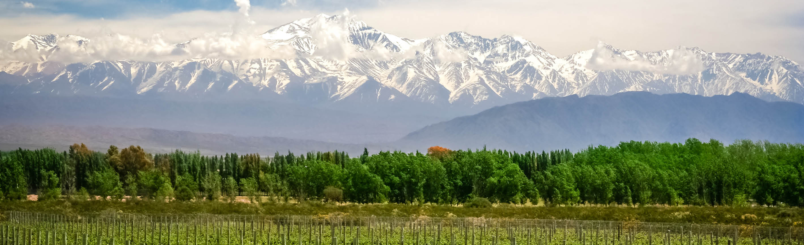 Flights to Mendoza