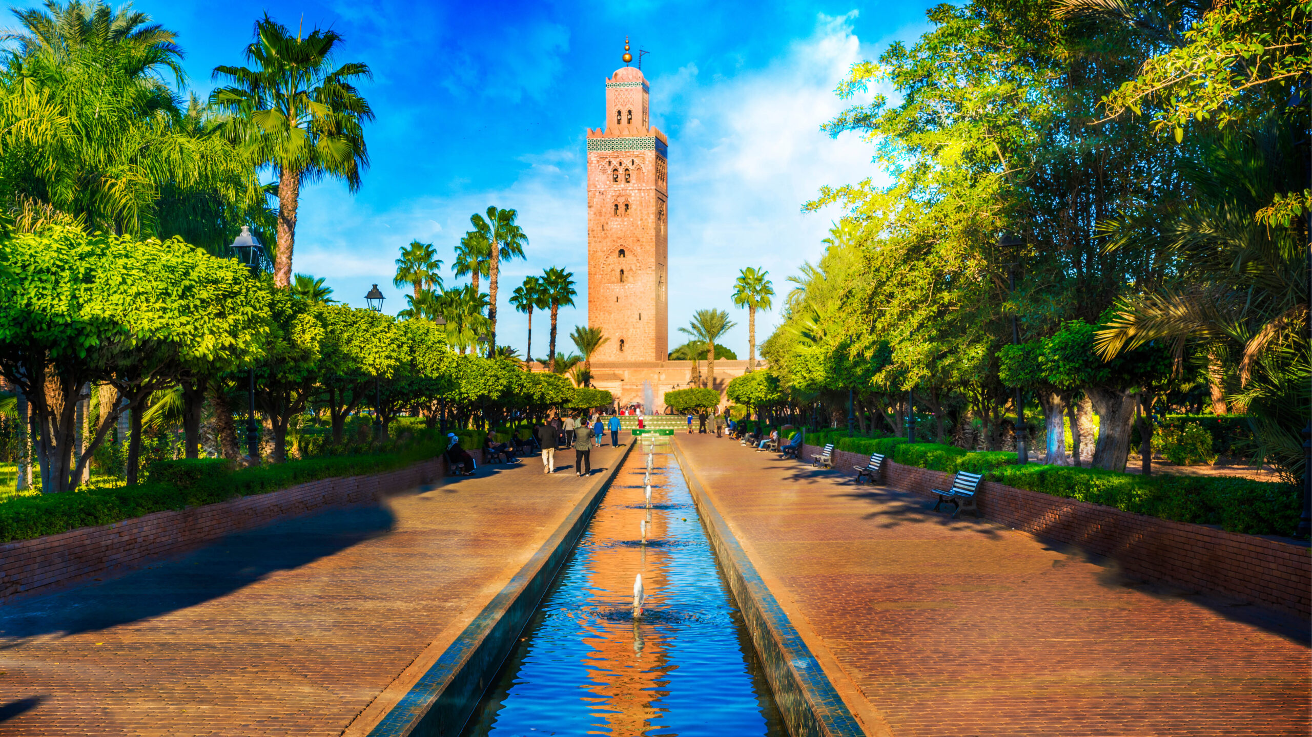 Hotels in Marrakesh - Hotel with palm trees, a turquoise pool, and stunning views