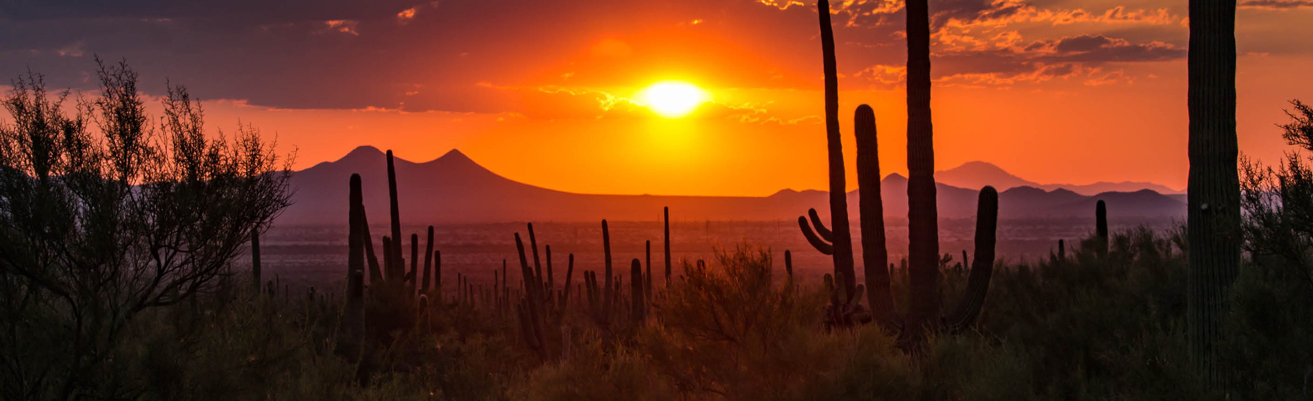 Tucson Food Tour