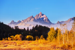 Bright colors of the Fall season in Grand Teton National Park, Wyoming, USA