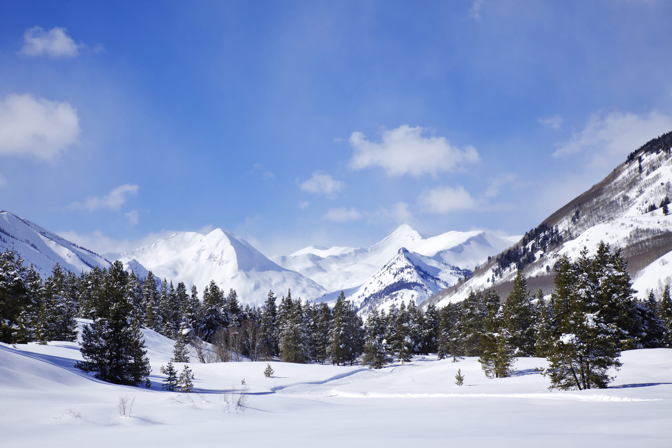 Winter Escapes Crested Butte Colorado