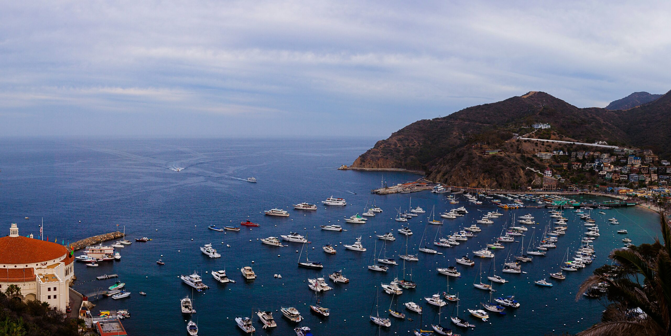 Catalina Island Harbor