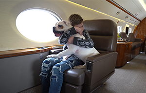 Boy hugging medium white dog on private jet