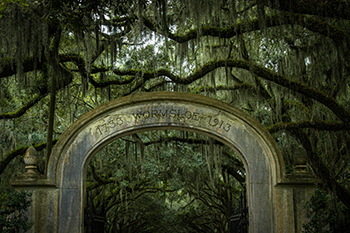 Cemetery in Savannah, GA